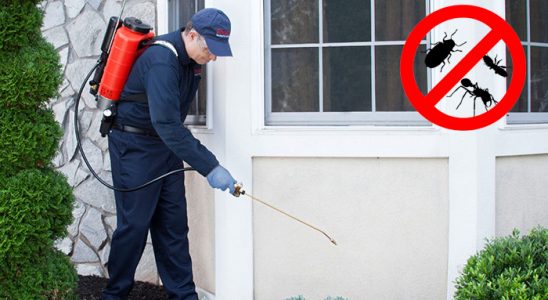 Evciler Bit İlaçlama böcek ilaçlama ve haşere kontrolü — ilaclama-tr.com